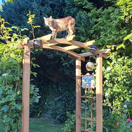 Oliwka Homestay szállás Sliwin