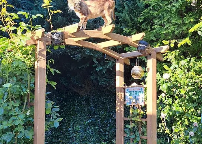 Oliwka Ubytování v soukromí Sliwin